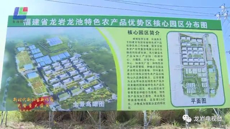 龙岩进口外贸市场的风云变化