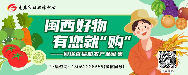龙岩贸易公司：链接未来的大通道